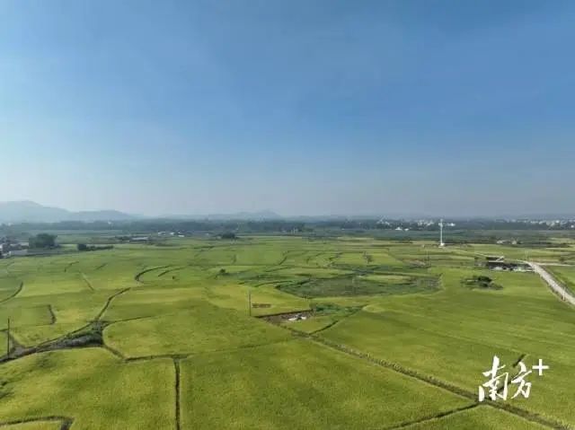 全域土地综合整治，高州全域土地综合整治，茂名全域土地综合整治