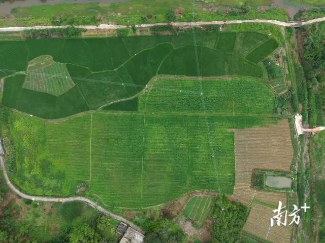 全域土地综合整治，兴宁市全域土地综合整治，石马镇全域土地综合整治1