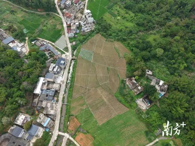 全域土地综合整治，兴宁市全域土地综合整治，石马镇全域土地综合整治2