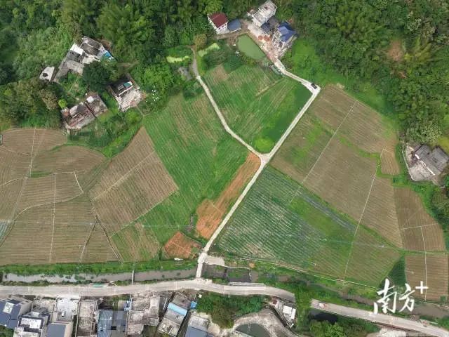 全域土地综合整治，兴宁市全域土地综合整治，石马镇全域土地综合整治3